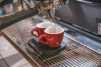 Felicita Arc Waterproof Coffee Scale - Indigo Coffee Project