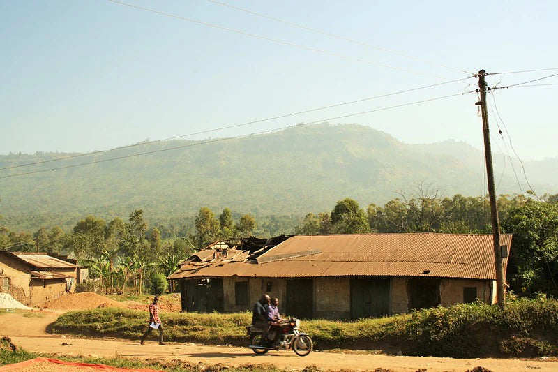 BUKYABO - YEAST FERMENTATION WASED, UGANDA - Indigo Coffee Project