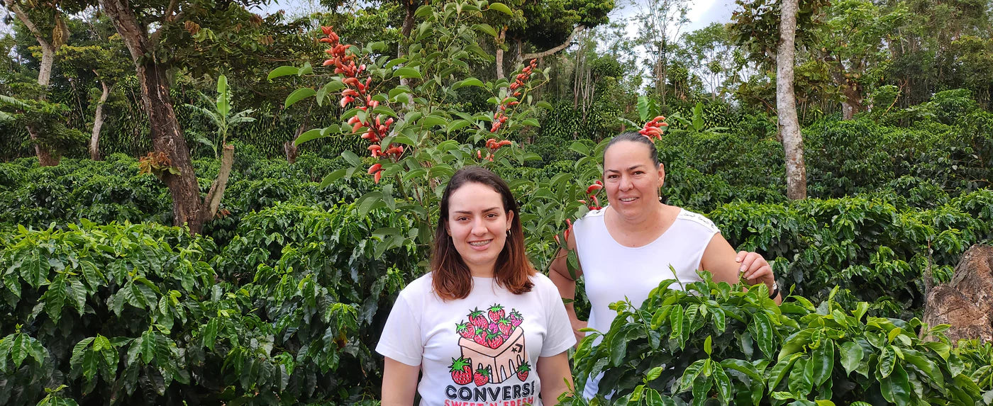 CHACÓN - ANAEROBIC HONEY, COSTA RICA - Indigo Coffee Project
