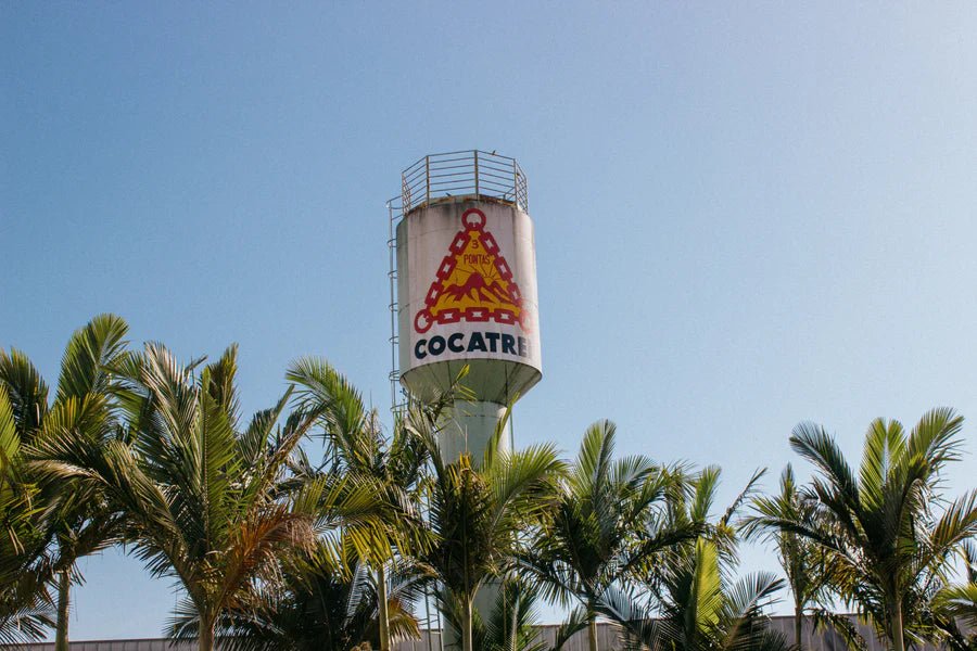 Brazil Castanhas do Brasil | Dark & Nutty - Indigo Coffee Project