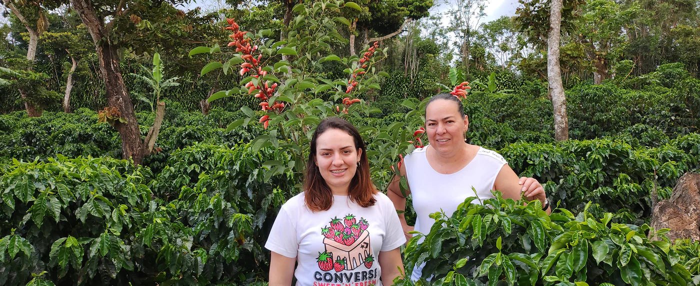 Costa Rica Las Lajas | Floral & Spiced - Indigo Coffee Project