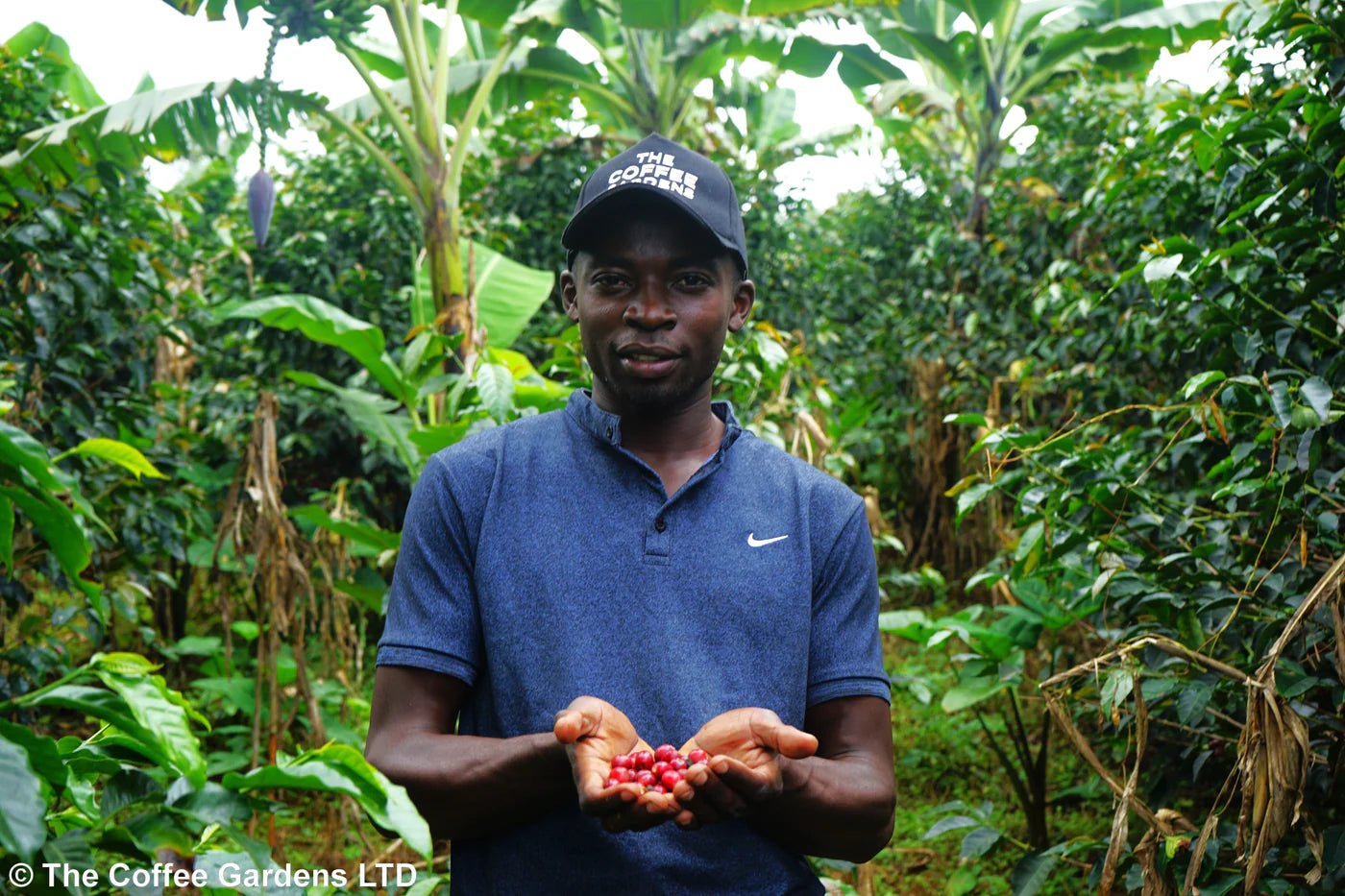 Uganda Mukuru | Tropical & Fruity - Indigo Coffee Project